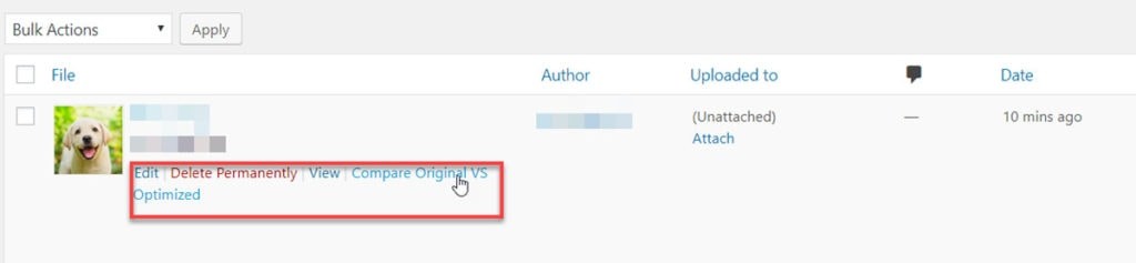 Imagify Compare Original Vs Optimized