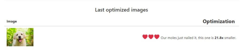 Optimole Image Optimization Results