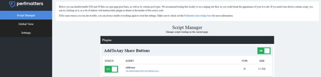 Perfmatters Script Manager