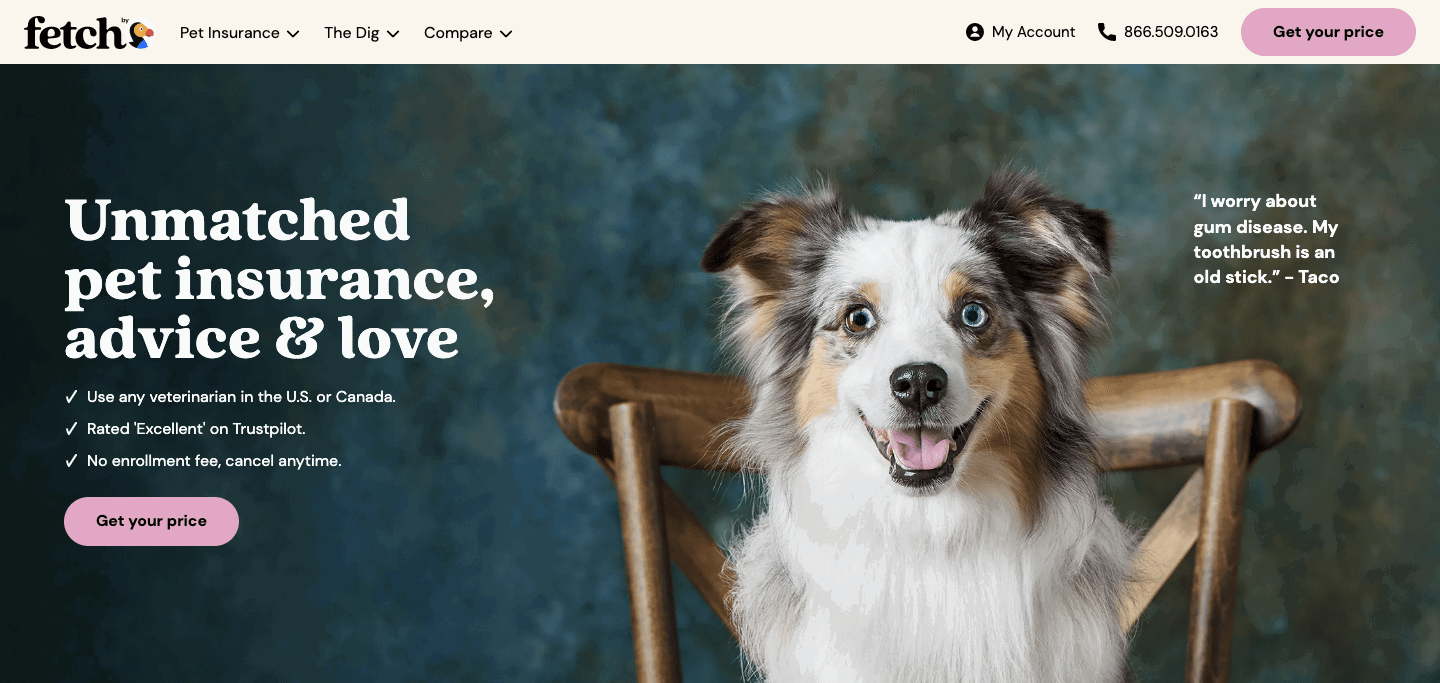 fetch homepage